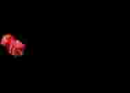 Red Dice